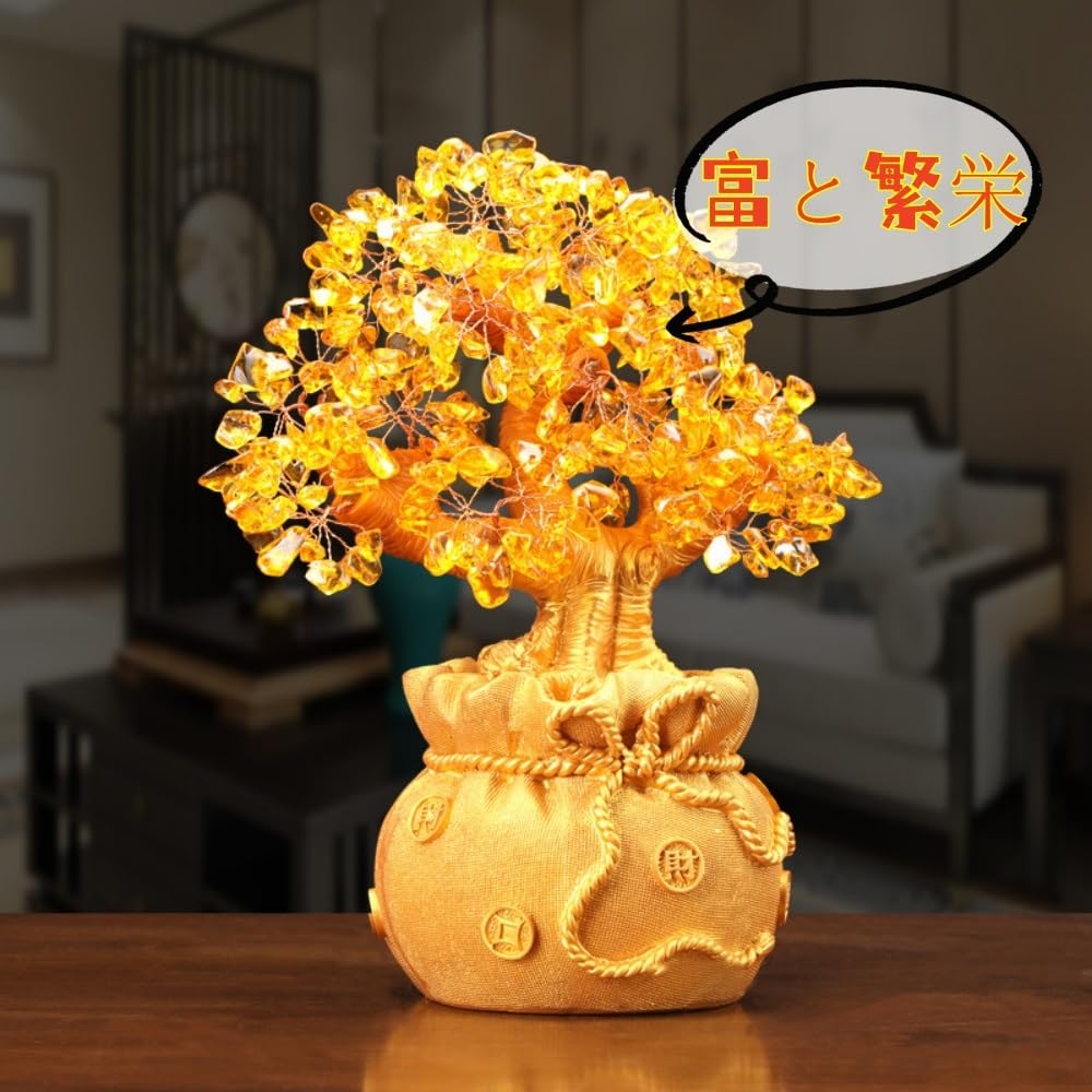 Amazon.co.jp: 金のなる木盆栽 招財樹 風水木 幸運の木 金のなる木宝石