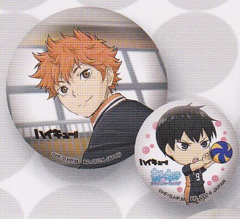 一番くじ ハイキュー!! 烏野高校練習開始!! D賞 缶バッジセット 日向翔陽 単品