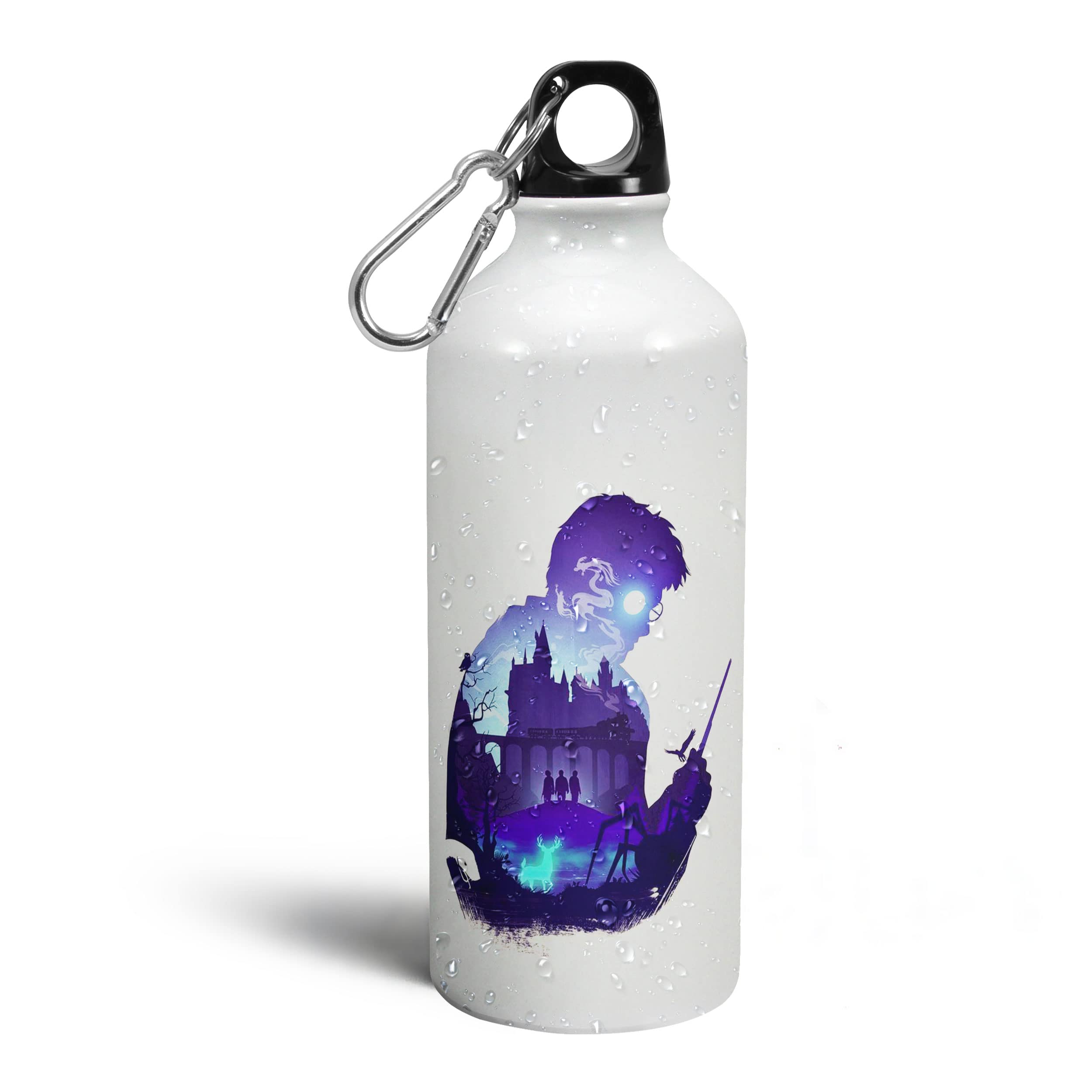 Morons Wizard Water Bottle - Magical Quotes on Sipper Bottle - Office Gift Items For Friends - 600ml; Pack of 1 (D1) (B0CCYVL4H3) Amazon Price History, Amazon Price Tracker