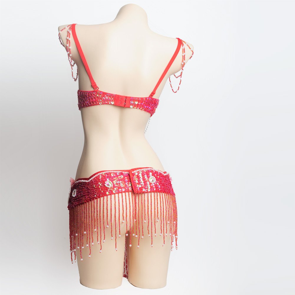 ROYAL SMEELA Disfraz de Danza del Vientre para Mujer Conjuntos de Sujetador y cinturón Danza del Vientre Profesional Carnival Sexy Fancy Traje Baile del Vientre Mujer Conjunto Danza del Vientre