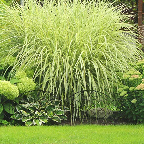 Relaxdays Beetzaun, HxB je 40x54,5 cm, 6 Zaunelemente, Garten Beeteinfassung zum Stecken, Metall, Vintage-Look, schwarz