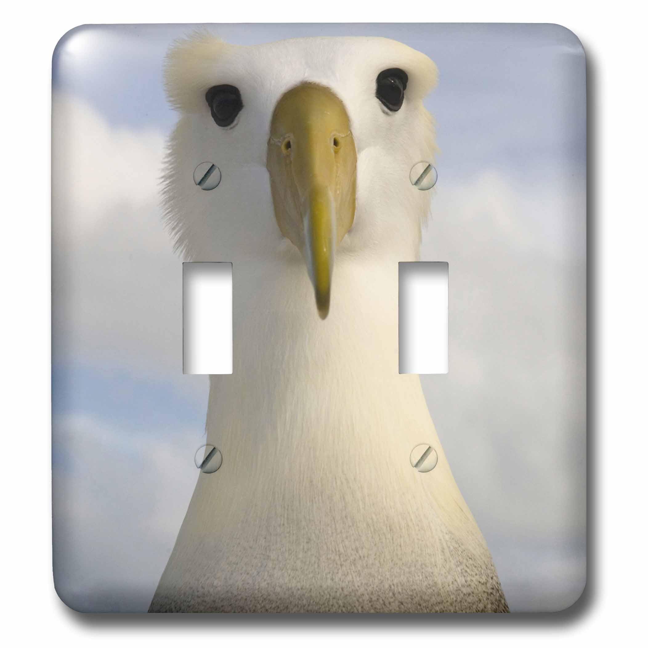 Interrupteur albatros ondulés 3dRose remplace plaque terne