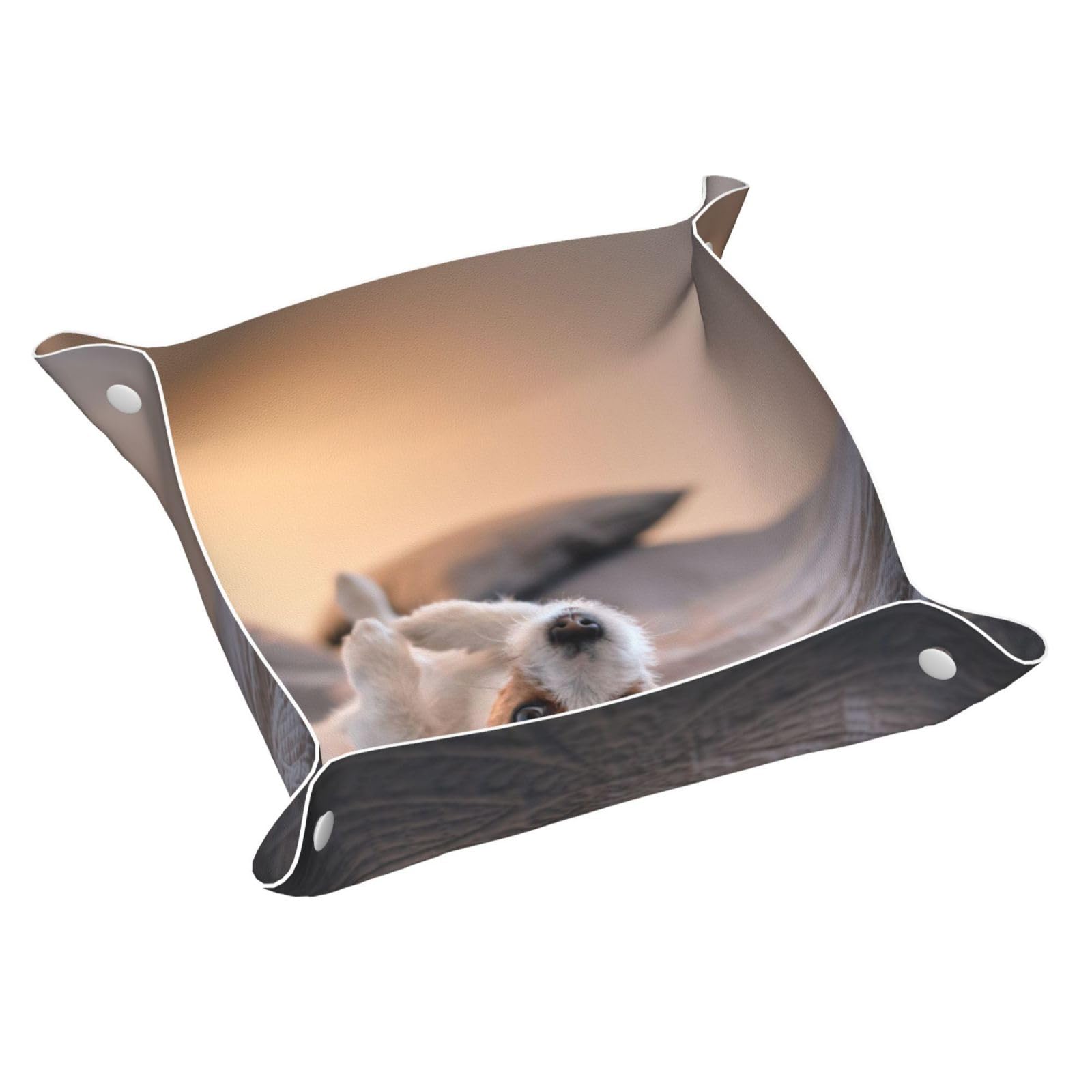 InOmak Cute Little Dog Jack Russell Terrier, Leather Storage Tray Jewellery Organiser Desktop Catchall Tray, Dresser Organizer Plate,M