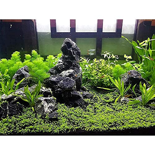 Image of LANDEN Natural Tonwa Stones Slate Stones for Aquariums Terrariums, Paludarium,Vivariums, Reptile and Amphibian Enclosures (17lbs, 2 to 8 inches)