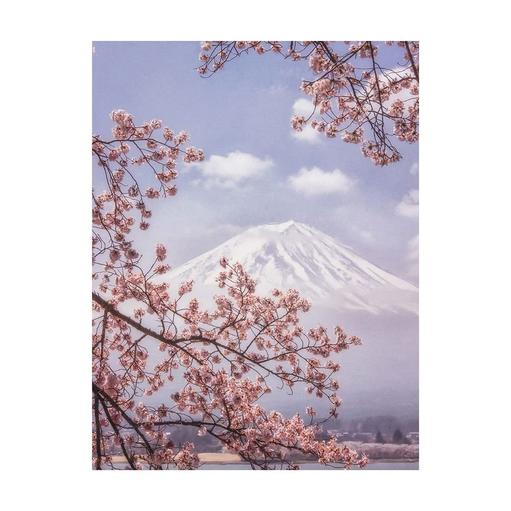 Pyramid International Blue/Pink Makiko Samejima Mount Fuji Cherry Blossom Print (50Cm X 40Cm) ()