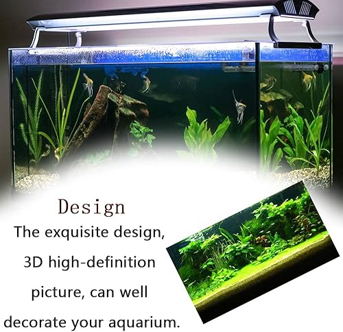 Miniatura 8 de PENKOHOME Impresiones 3D Fondo de pecera Acuario Fondo Submarino Imagen Decoración Póster para pecera Papel pintado