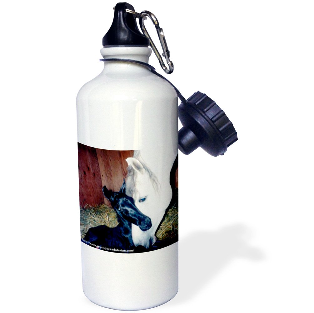 3dRose Purple Rose Sports Water Bottle 21 oz White