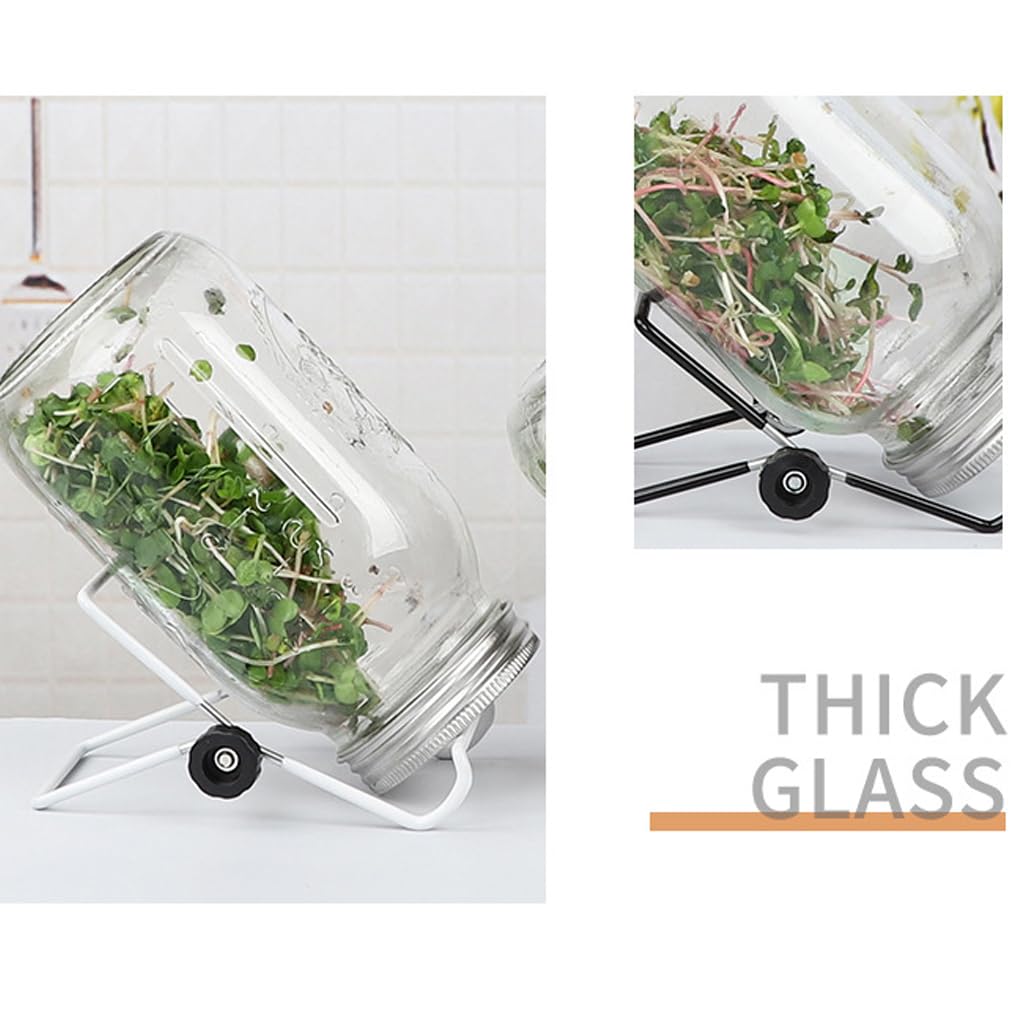 2 Supports pour bocaux en Verre de 1 000 ML, Outil de Germination, Filtre en Acier Inoxydable Blanc pour la Croissance des Plantes, accès pour aux