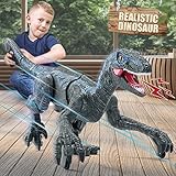 【Realistisches Spielerlebnis】Feine Schnitzmuster und flexible Körperkurven lassen den Dinosaurier lebensecht aussehen.Die Hinterbeine dieses ferngesteuerten Dinosauriers haben das zarte Design,die die Beine beugen und anheben kann,um vorwärts zu gehen.Das Vorderbein mit Scrollrad macht den Greifvogel sensibler,Es kann sich um 360 Grad drehen und alles sofort angreifen.Das biegsame Knie kann es wie einen echten Dinosaurier laufen lassen, was die Existenz der Dinosaurier im Film perfekt nachbildet
