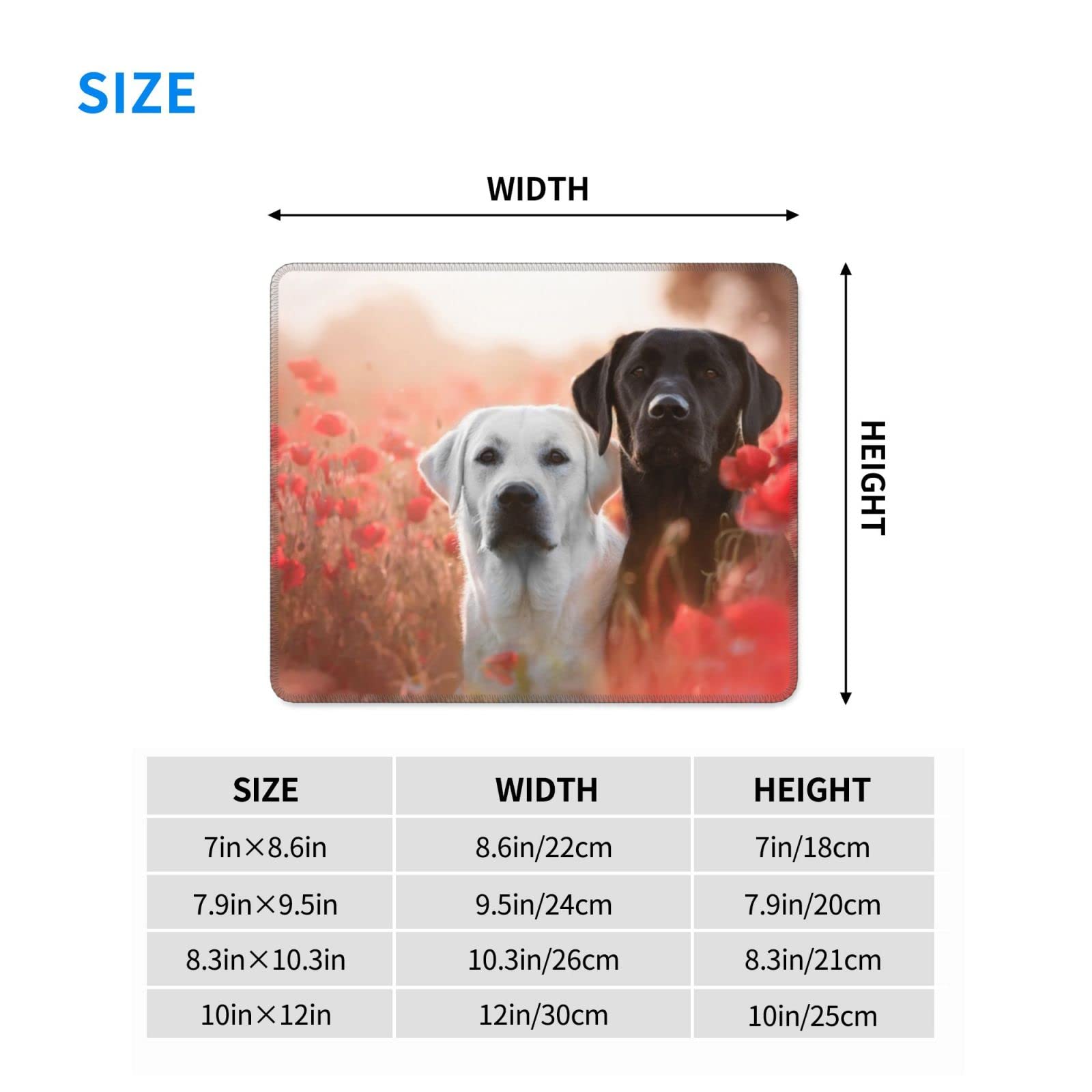 Peinture Tous Bois Acrylique Rouge 2,5 L - BLANCHON