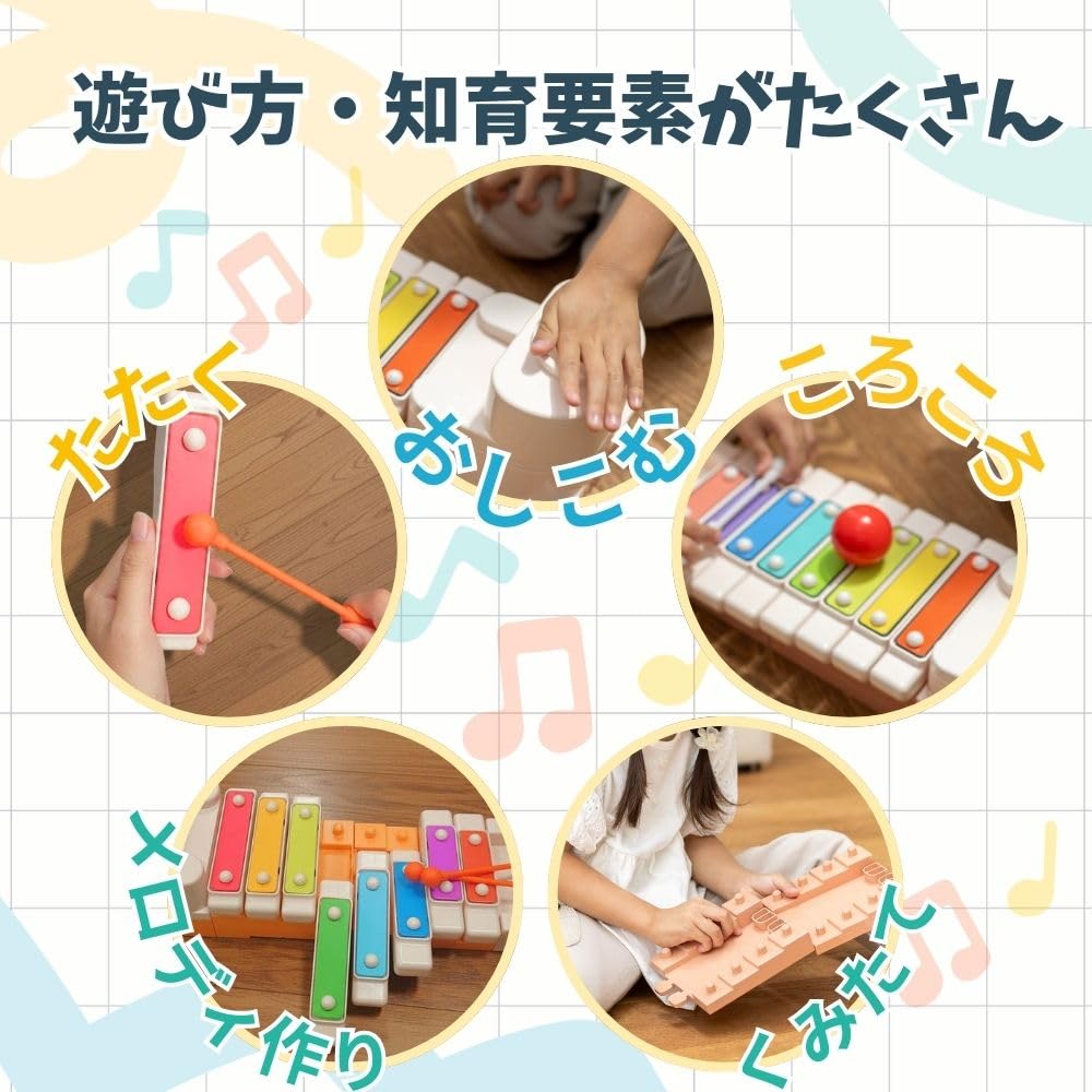 Amazon.co.jp: E-TOO 乳幼児 脳を鍛える 知育楽器 ころころブロッケン