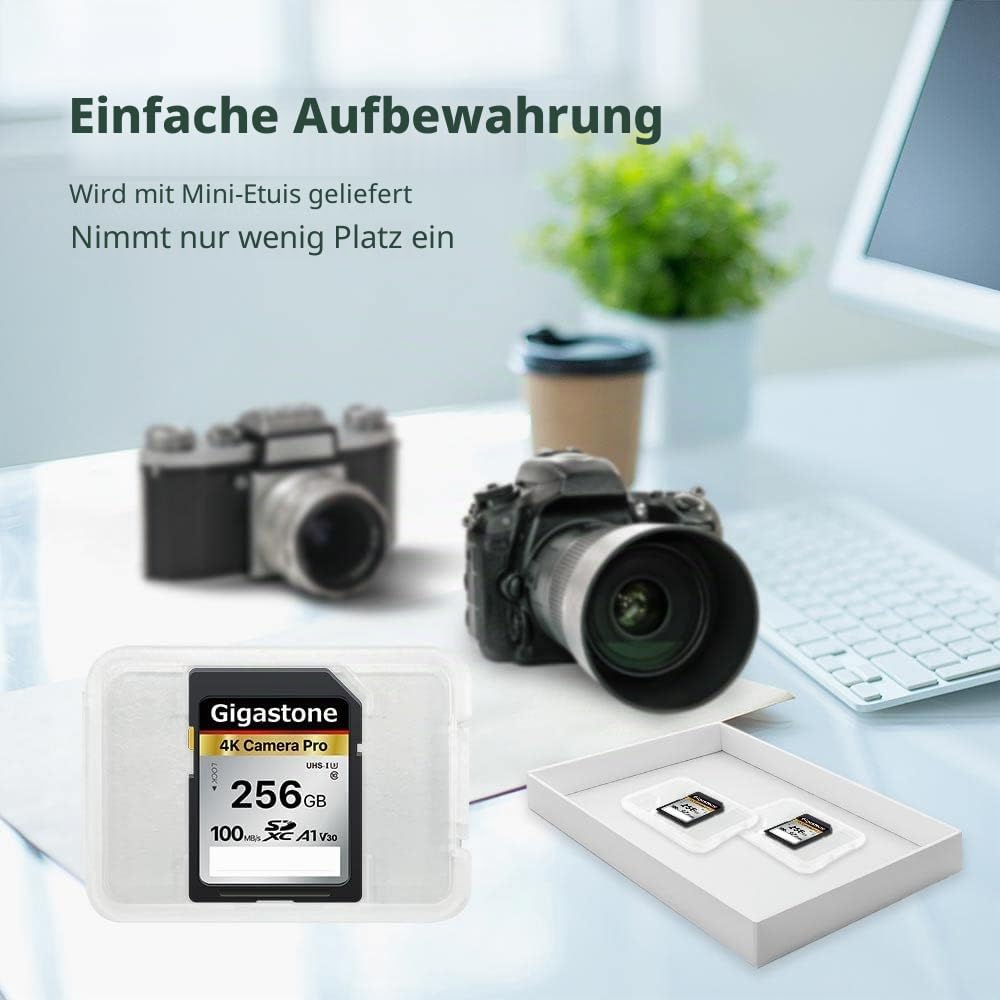 GIGASTONE 256GB SDXC Speicherkarte, 4K Kamera Pro, bis zu 100 MB/S, Digitalkameras Canon Sony Nikon Olympus, A1 UHS-I U3 V30 Klasse 10, 4K UHD Videoaufnahmen