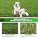XLX TURF Interlocking Artificial Grass Turf Tiles, Thick Realistic Fake Grass Mat for Dogs, Patio, Indoor Outdoor Decor, 12