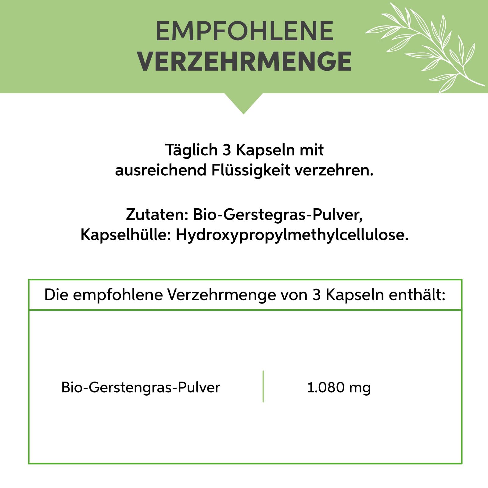 Bio Gerstengras Kapseln 500 Stück | Hochdosiert 1080mg Tagesdosis | Gerstengraspulver aus deutschem Anbau | 100% rein ohne Zusätze (DE-ÖKO-007) | Vegan und ideal für unterwegs