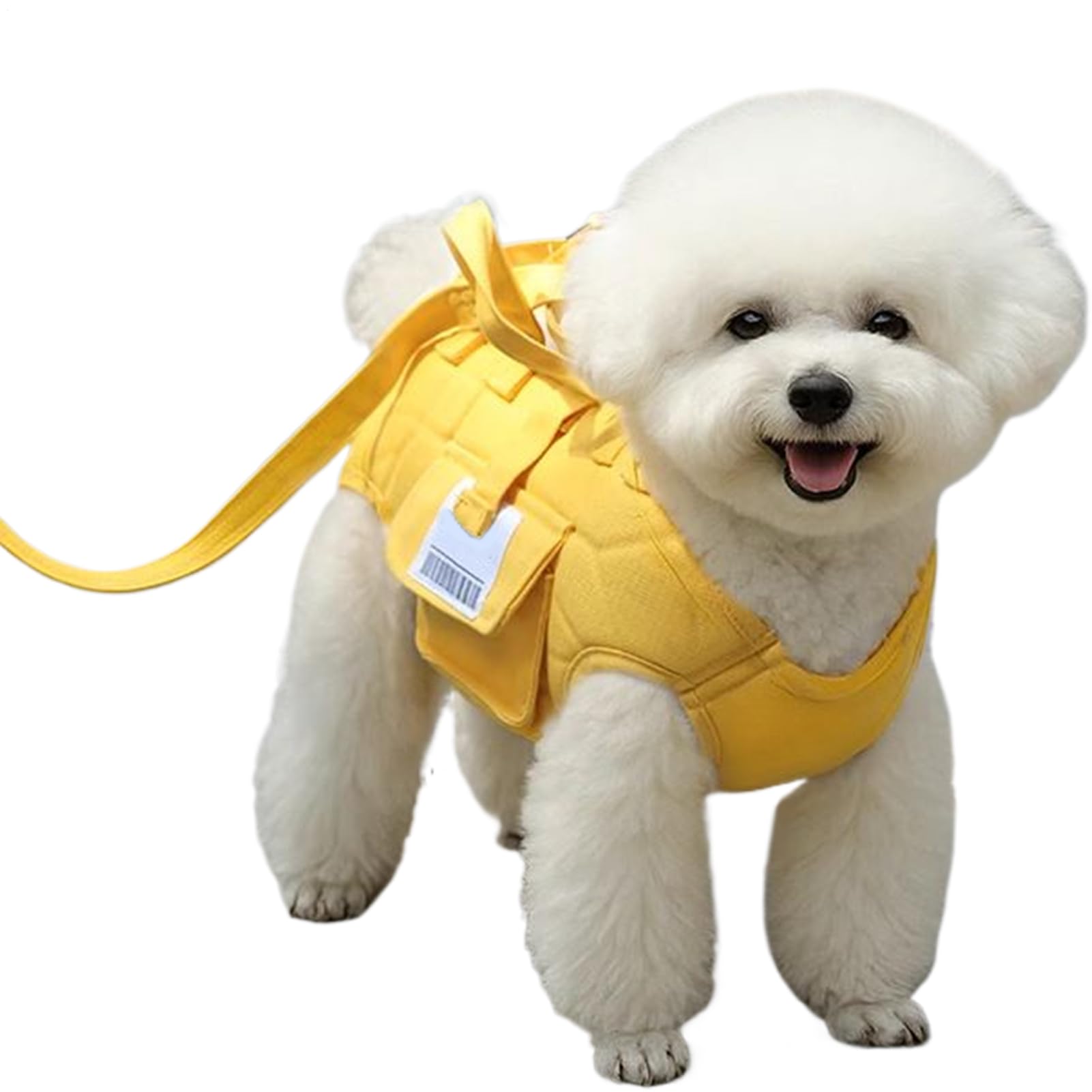 View 9