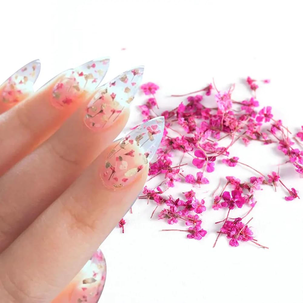 36 Stück Getrocknete Blumen Für Nägel – Echte 3D-Nageldekoration Mit Pinzette | Für Gel, Acryl Und Nagellack