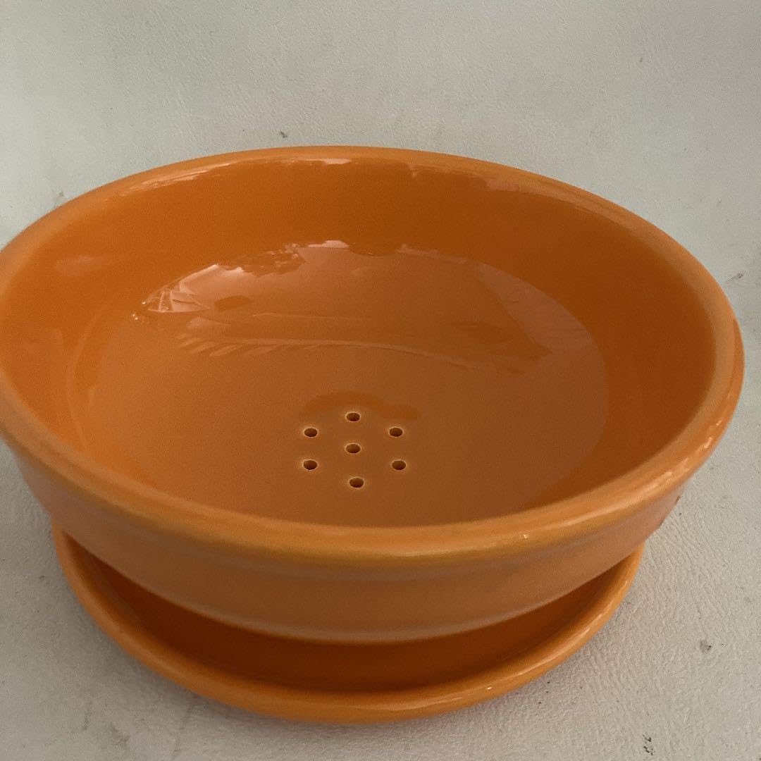 新品未使用 スタジオエム ルボア 24cm 深皿 ボウル アメ色 2枚セット