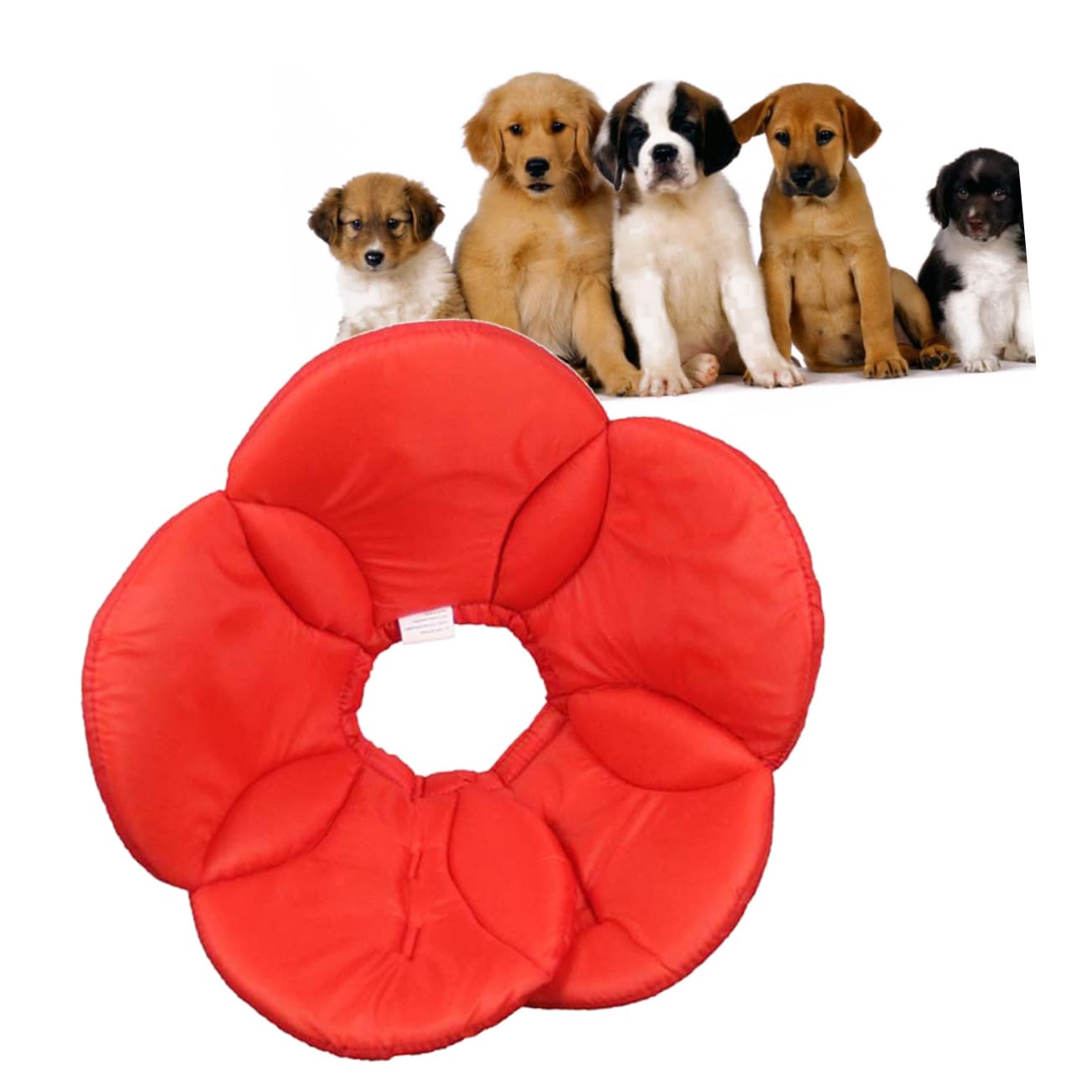 Kisangel 2 Piezas Collar de Mascota de Flor de Esponja Cuello de Mascota Collar de Cono de Perro - Collar antiladridos - Collar Anti-mordeduras Cubierta Protectora Las Flores Rojo