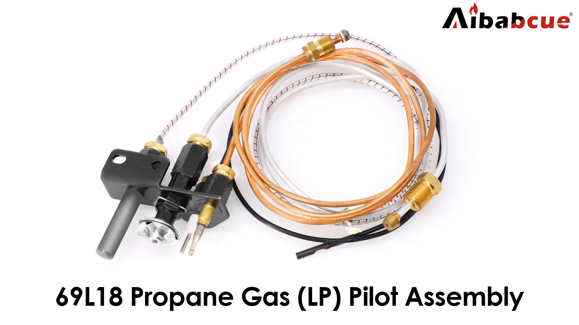Amazon.com: Aibabcue Propane Gas Pilot Assembly Kits 69L18 for