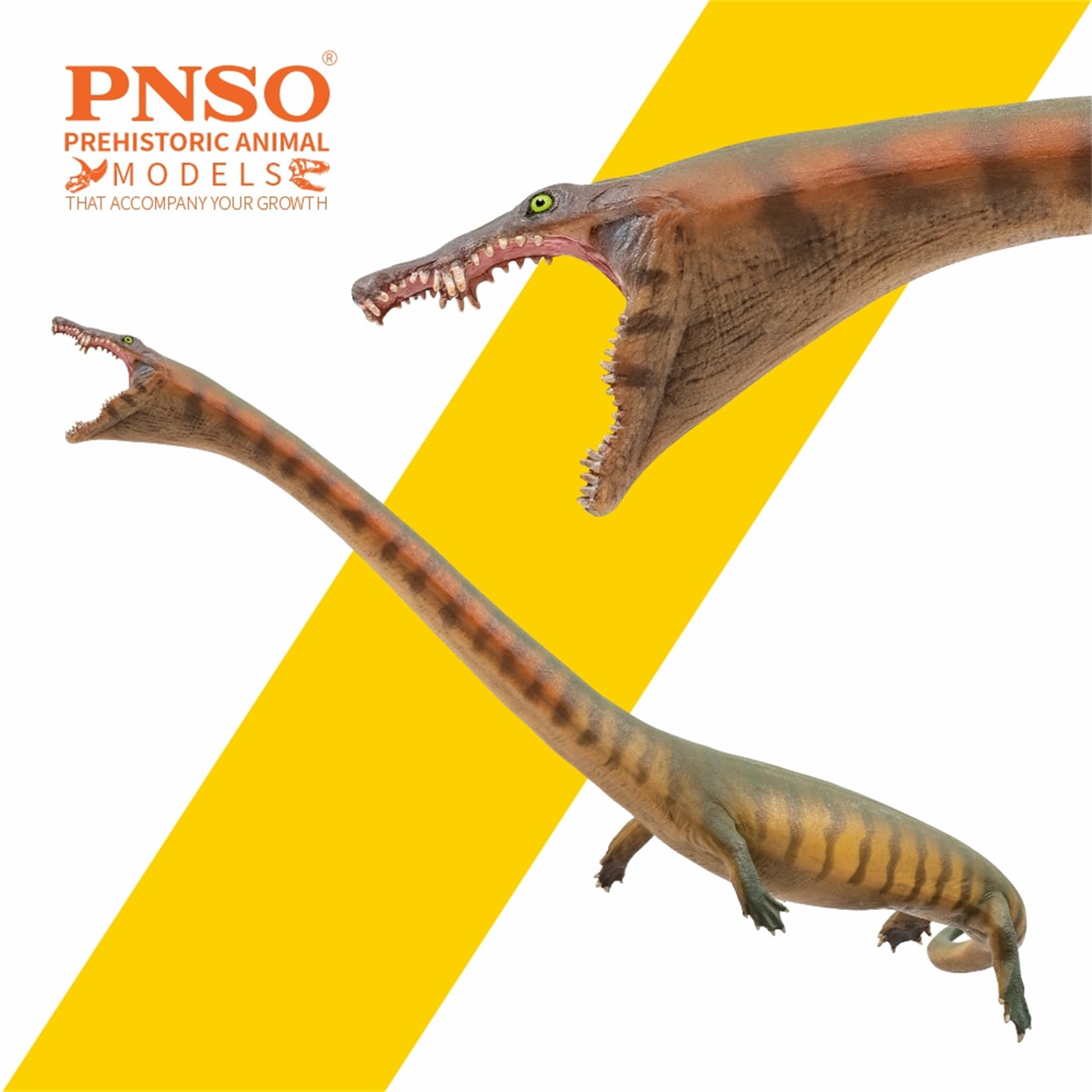 Amazon | PNSO 成長シリーズ 91 ディノケファロサウルス フィギュア