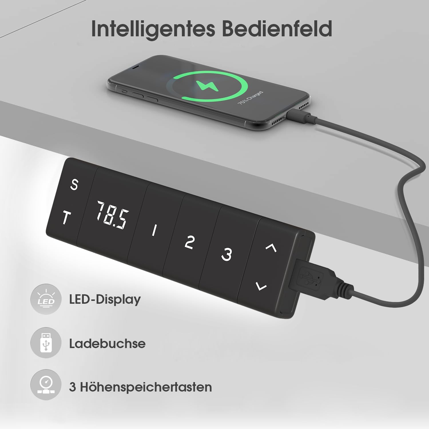 TRIUMPHKEY Höhenverstellbarer Schreibtisch 160x80cm mit Typ-C Ladeanschluss, Schreibtisch Höhenverstellbarer mit Kabel Management Tray, Standing Desk mit 3 Memory Funktion, Grau