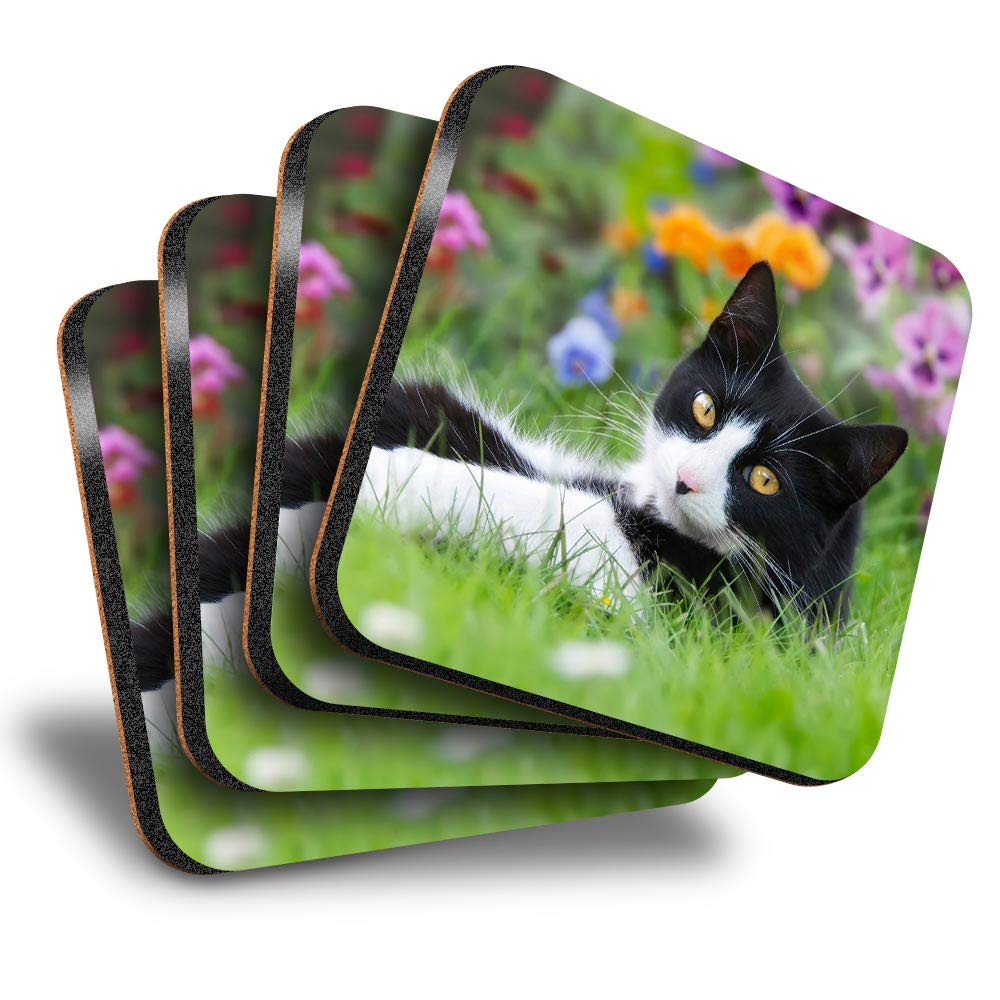 Destination Vinyl Ltd Great Coasters (Set of 4) Square - Black & White Cat Kitten Cats Garden Drink Glossy Coasters/Tabletop Protection for Any Table Type #14788