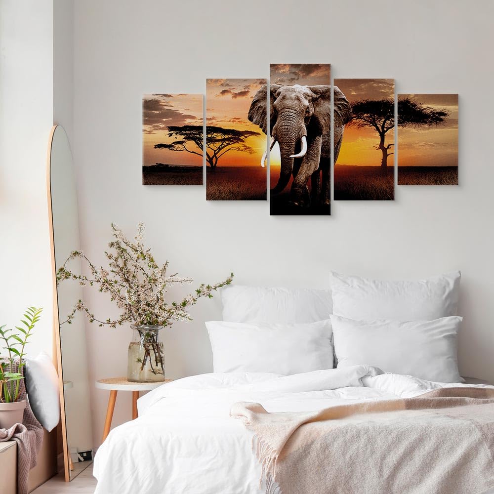 Murando - Akustikbild Afrika 5 Tlg - Bilder