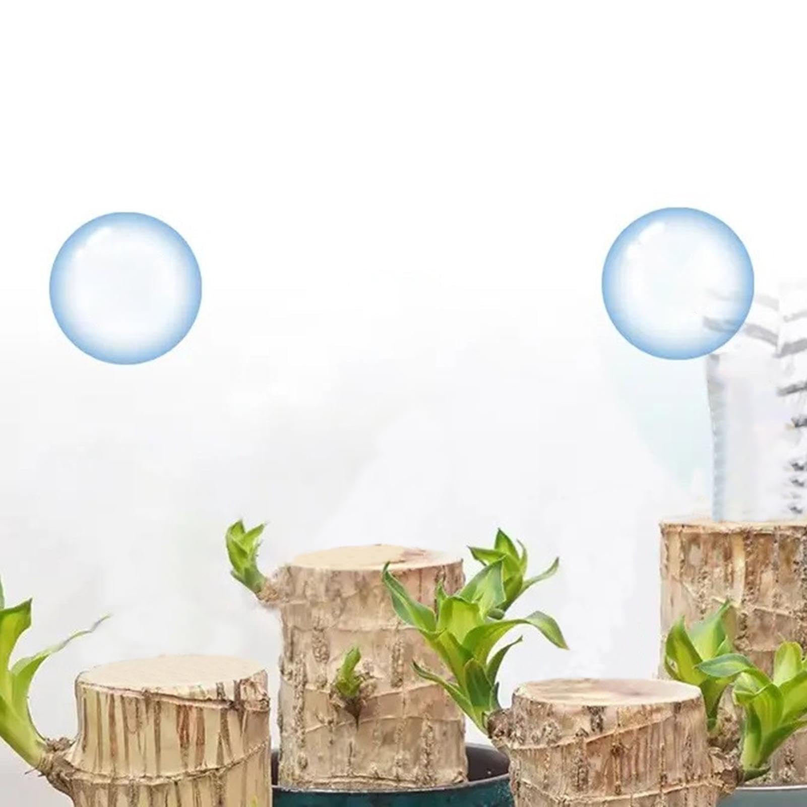Alimento para plantas de madera brasileña, fertilizante líquido de bambú de 100ml, fertilizante para plantas de interior de madera brasileña de la suerte, fertilizante líquido para plantas de interior