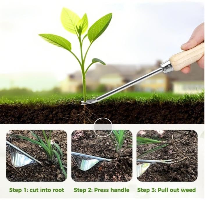 Diserbante, sarchiatore Manuale, da Giardino, di tarassaco, Attrezzi for diserbo, scavo(2pcs)