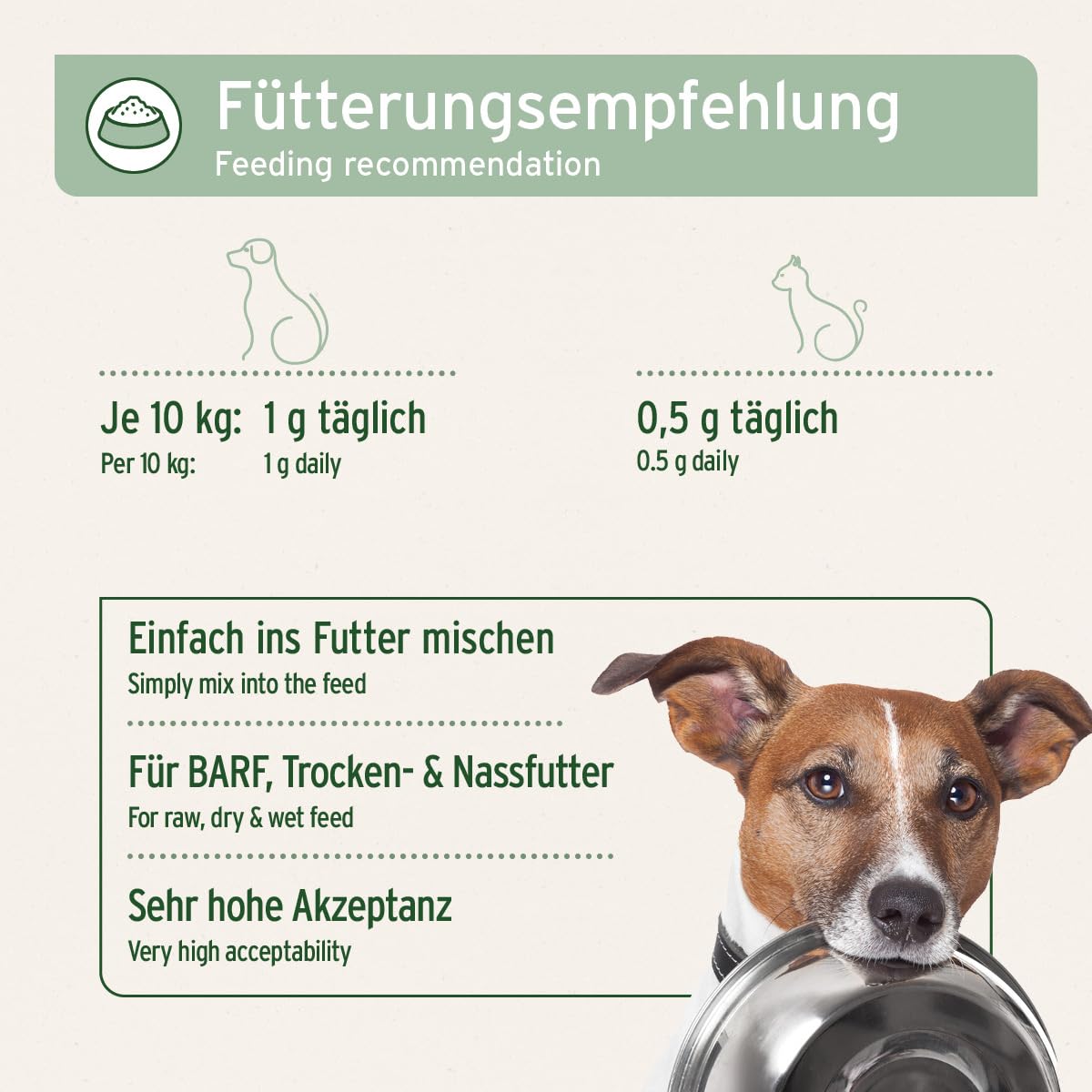 AniForte Muschelkraft für Hunde & Katzen 250 g - 100% natürliche Blaumuschelpulver mit Omega-3 & Omega-6 für Gelenke, Vitalität, Fell & Haut