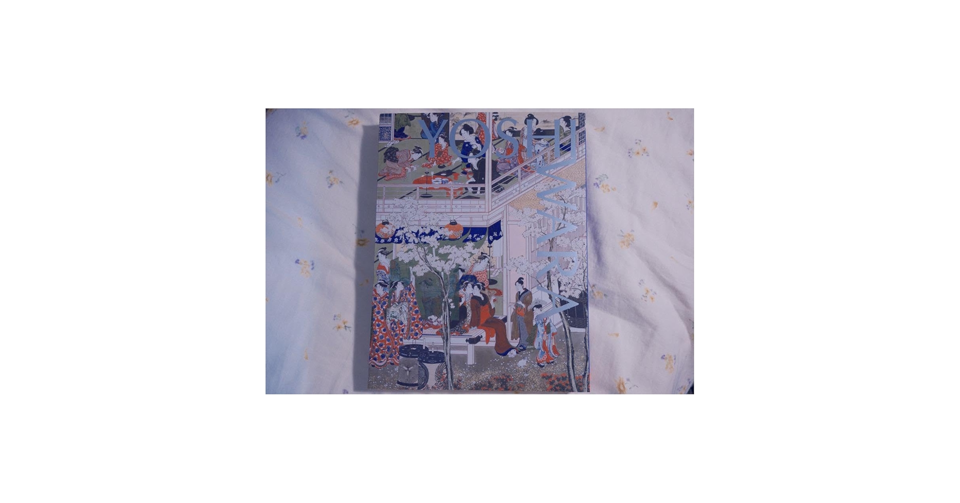 Amazon.co.jp: 大吉原展 図録 2024 「大吉原展」図録 : ホーム