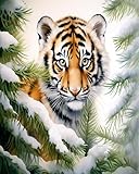 【Adults' Paint by Number Kits contains】:1 pre-printed canvas,1 set of acrylic paints,2 pieces hanging hooks and 3 pieces paintbrushes.1 color postcard guide and paper copy of numbered canvas.Size:40x50cm/16x20in(without frame). 【Easy to read】: The di...