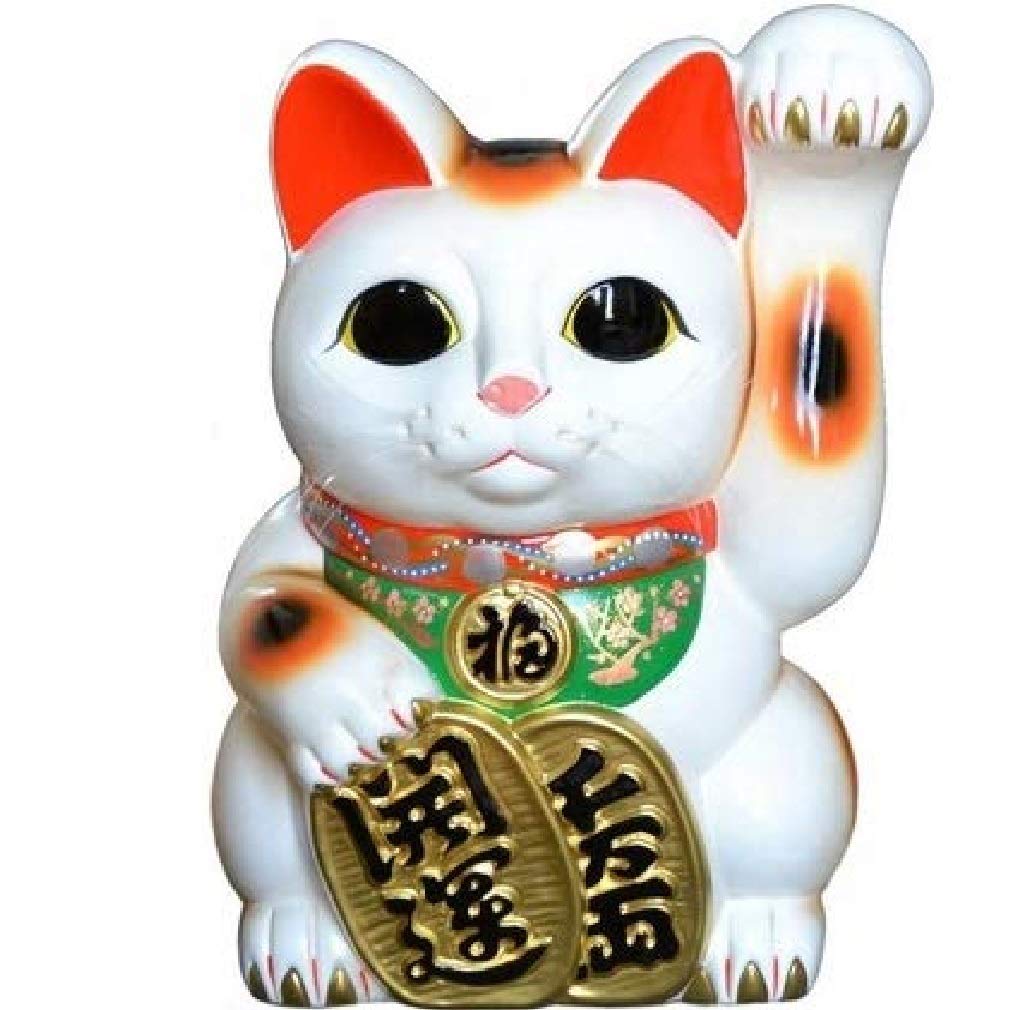 Amazon.co.jp: 招き猫 15号 開運白手長小判猫（左手） 常滑焼 : ホーム 