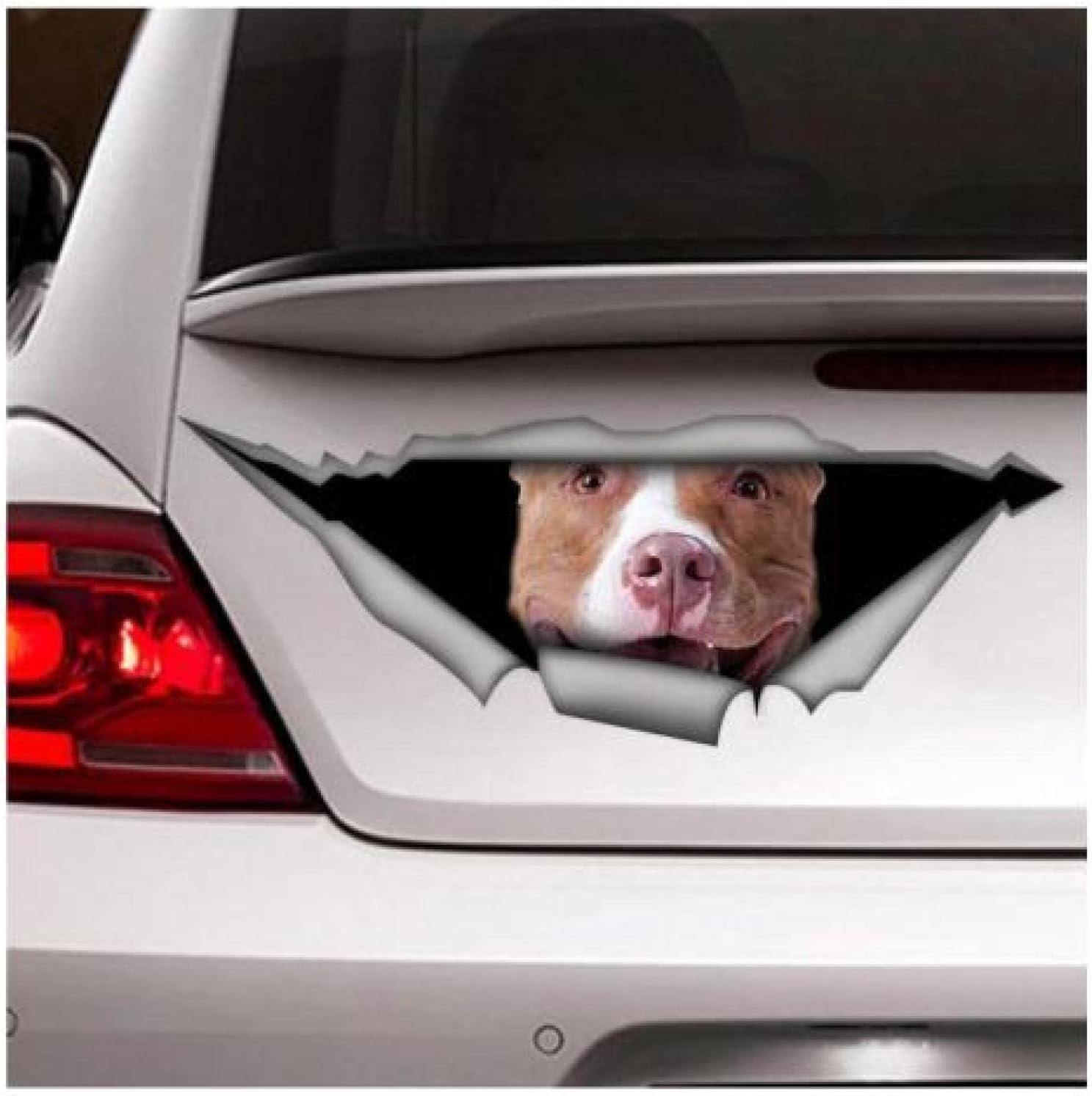 QQYYYT Pegatinas Coche Etiqueta Engomada De Pitbull De 25 Cm, Etiqueta del Coche, Etiqueta del Vinilo, Etiqueta Engomada del Animal Doméstico, Etiqueta del Perro, Etiqueta De Pitbull
