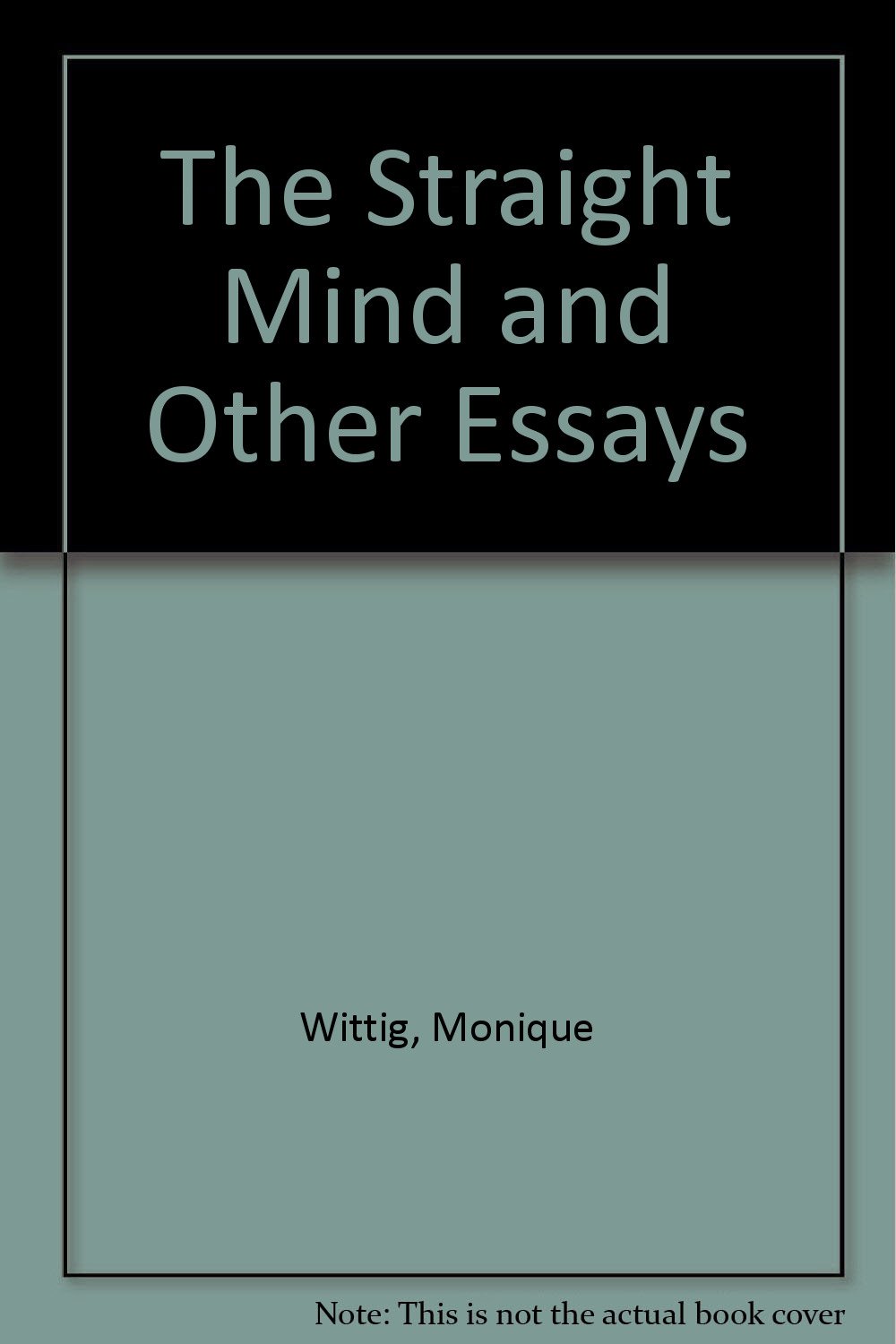 Buy The Straight Mind and Other Essays — BookShops.in