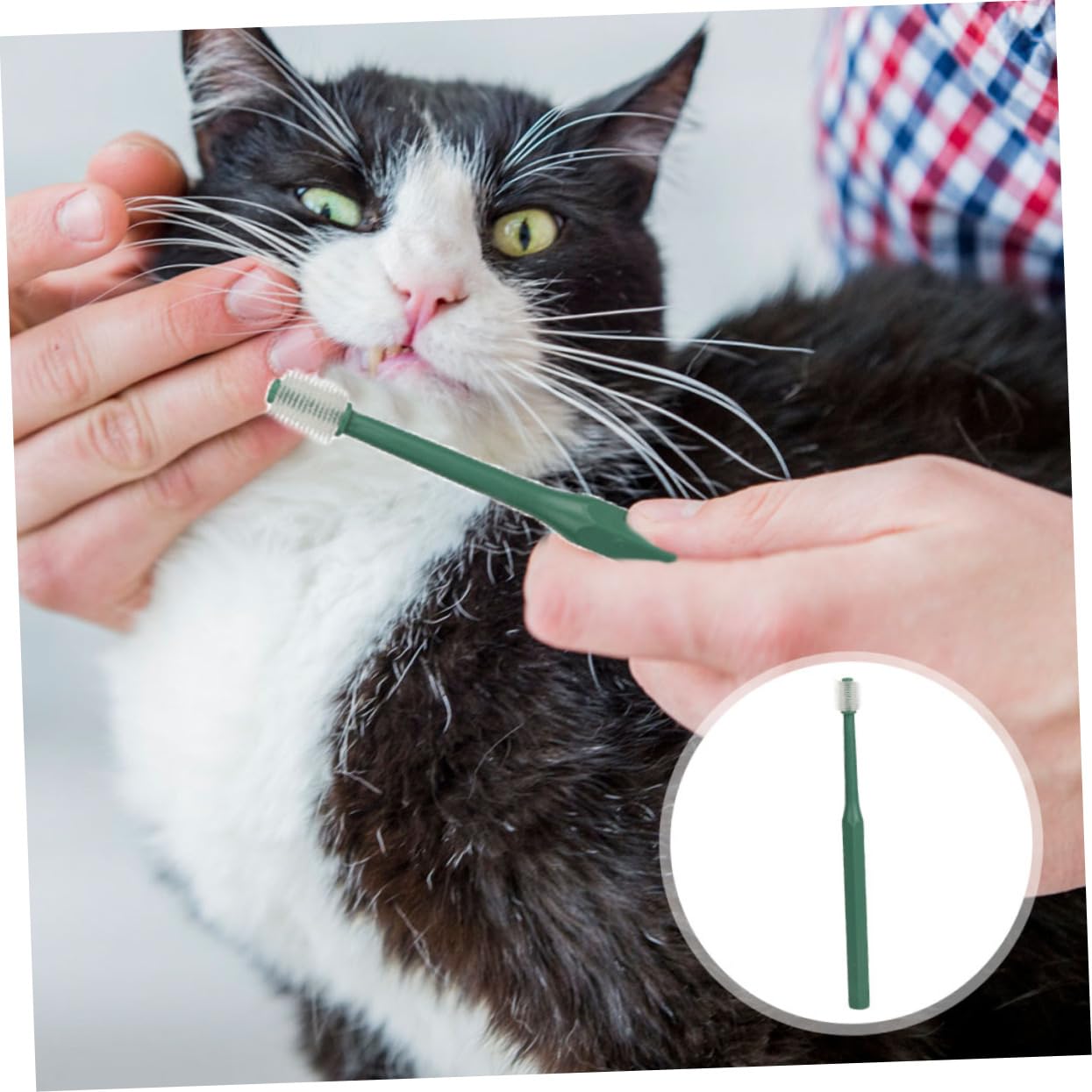 FONDOTIN 360Degree Pet Toothbrush for Dogs and Cats Soft and Gentle Oral for Puppies and Kittens for Pet Care Design