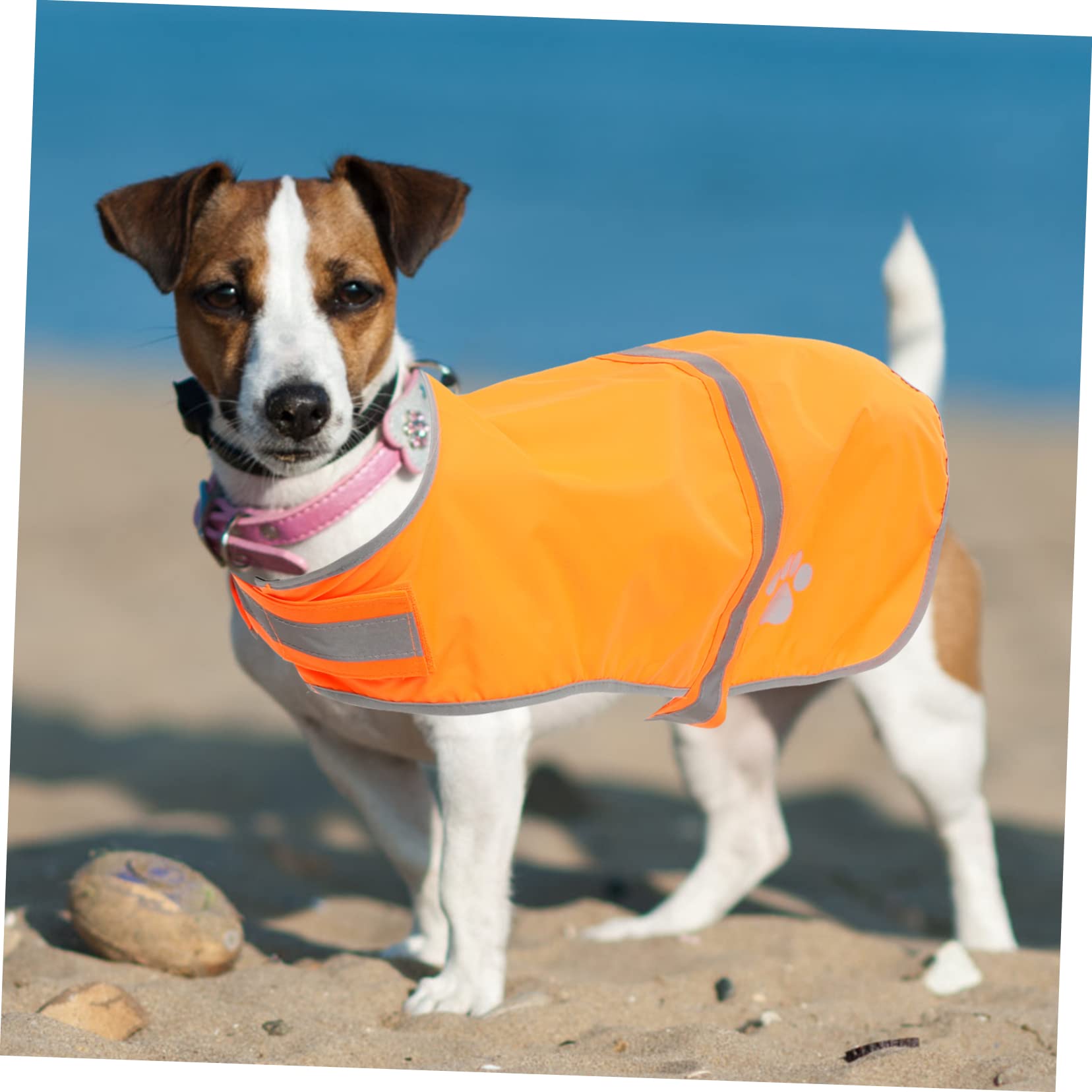 POPETPOP 5stücke Reflektierende Hundeweste Für Hohe Sichtbarkeit Verstellbar Für Outdoor-aktivitäten Für Kleine Und Mittelgroße Hunde Orangefarben