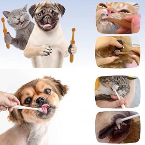 Cat & Dog Toothbrush Kit, 360 Degree Silicone Toothbrush with Storage Cup, 3 Pack Doggie Kitten Toothbrushes Tongue Cleaning Brush, Dental Care for Ferret Dutch Pigs Cat & Dog Toothbrush Kit, 360 Degree Silicone Toothbrush with Storage Cup, 3 Pack Doggie Kitten Toothbrushes Tongue Cleaning Brush, Dental Care for Ferret Dutch Pigs