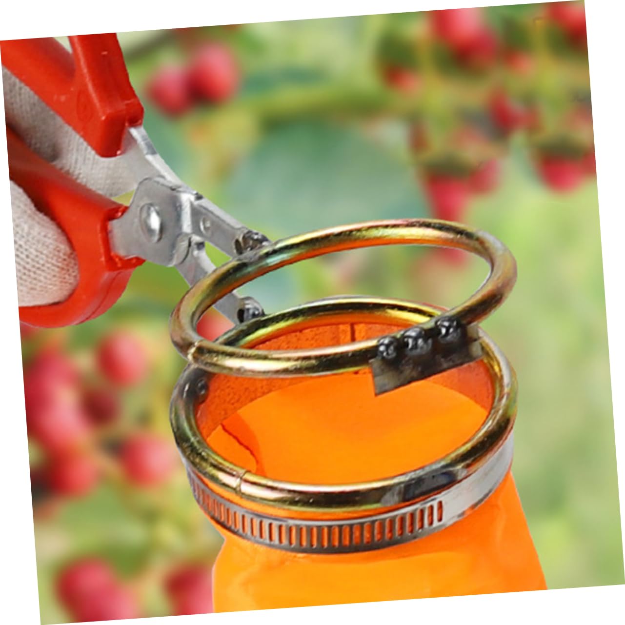 BESPORTBLE 4 Pièces Outils de cueillette Fruit Ciseaux Panier cueilleur de longanes Support de cueilleurs de longanes détachable Haricots Rouges Fraise Goji Litchi et Longane