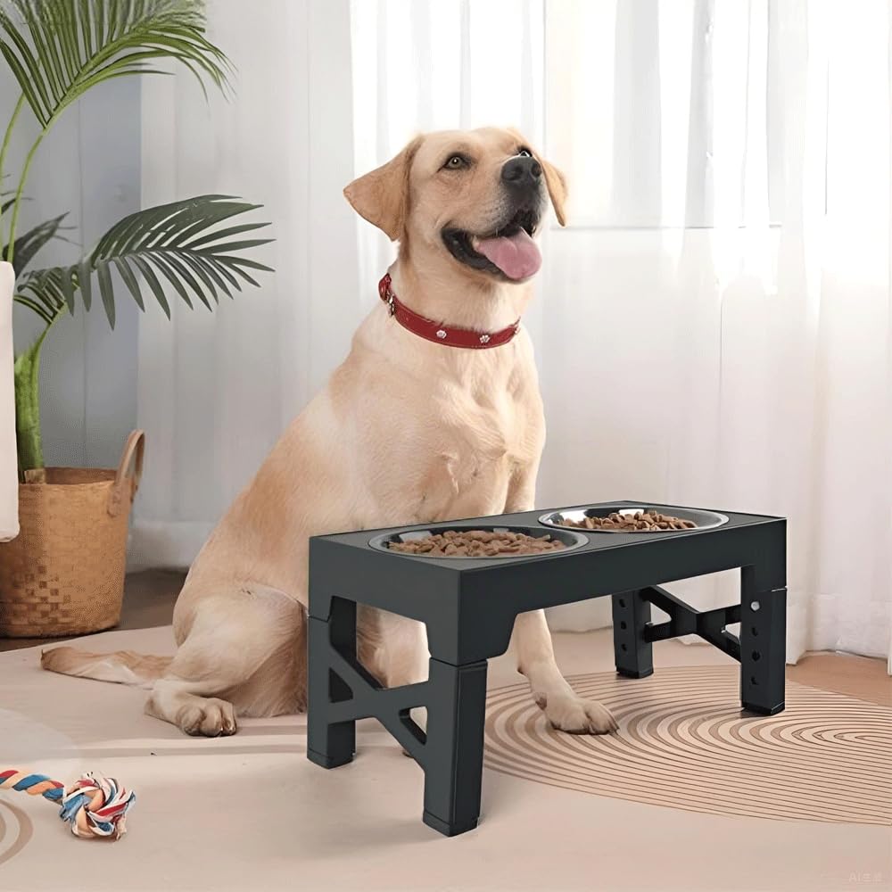 Gamelles surélevées pour Chiens Moyens et Grands - Accessoires - 5 hauteurs réglables : 8 cm, 22 cm, 25 cm, 28 cm et 31 cm - Gamelle avec Support pour Nourriture et Eau - Station d'alimentation pour