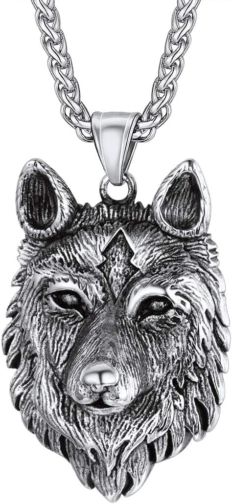 U7 Punk Chameleon/Eagle/Dragon/Hawk/Wolf Necklaces for Men Women, Retro Black Stainless Steel Animal Pendant Personalized Jewelry Gift Cool Necklace with 22 Inch Chain