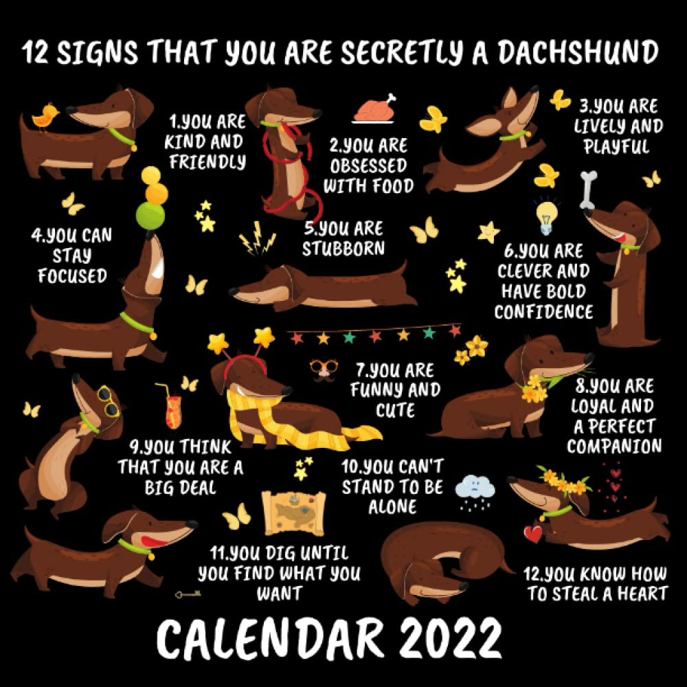 12 Signs That You Are Secretly a Dachshund Calendar 2022: Funny Monthly Planner Mini Calendar