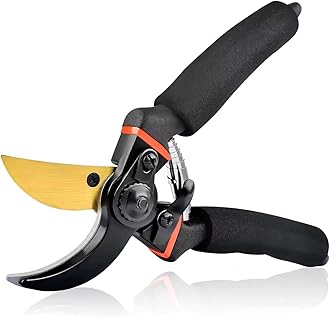 Cinagro Titanium Gardening Pruner, Plant Cutter with 2 cm Branch Cutting Capacity, Safety Lock, Steel Spring Mechanism, Non-Slip Grip, Ergonomic Design, Pruner Shear for Plants, Branches & Grass