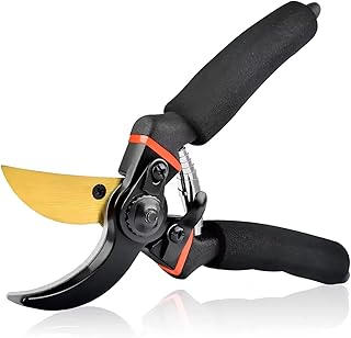 Quincy 8 Inch Gardening Scissors -Pack of 1 Plants Scissor Garden Shear Tree Branch Pruner Gardening Cutter Tool Plant Cutter for Home Garden Wood Branch Trimmer (Black)