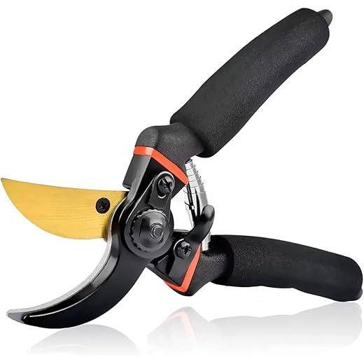 Quincy Gardening Scissors 8 Inch