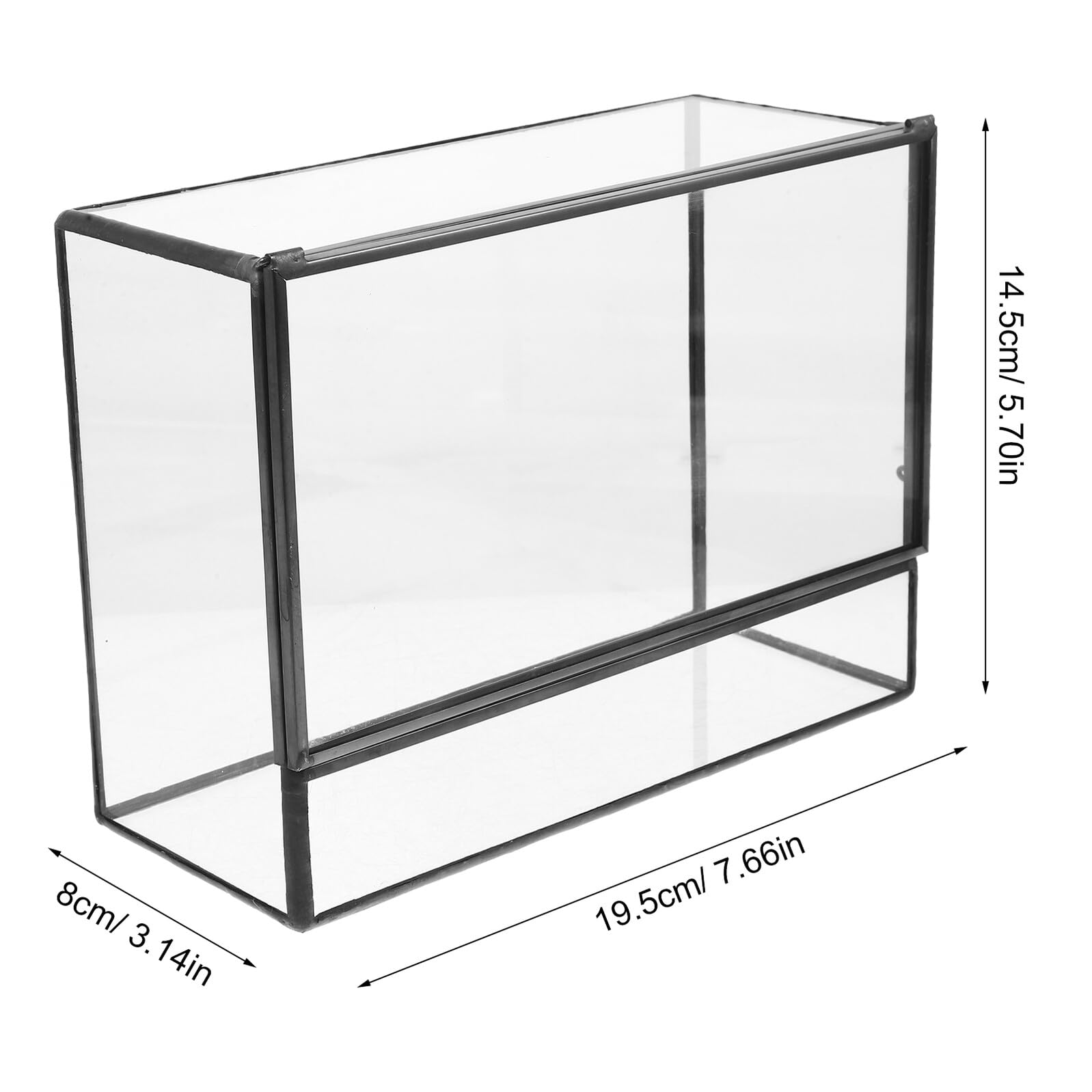 Hohopeti Handgefertigter Glas Terrarium behälter Mikro Landschaft Ökologische Pflanzendekoration Moos Terrarium für Wohnzimmer Büro Balkon Vielseitig Nutzbar