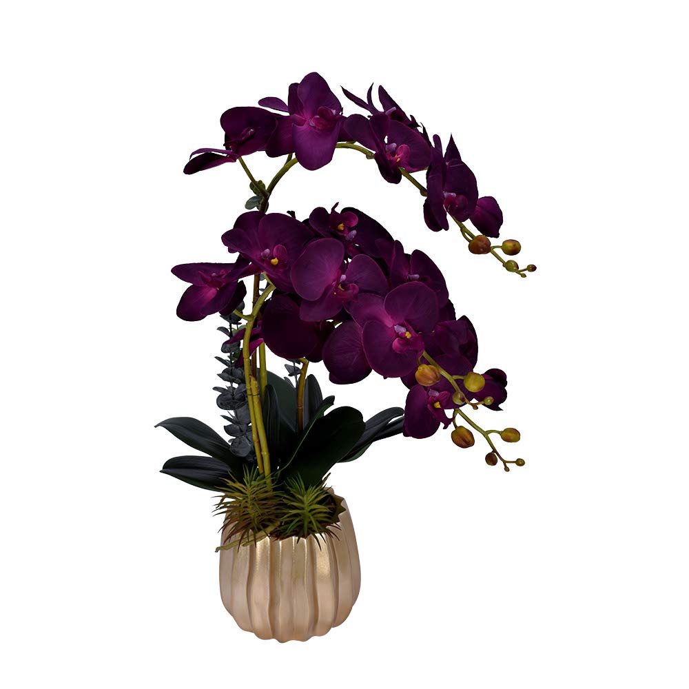 YATAI Artificial Orchid Flower Plant in Golden Ceramic Pot, Desktop Plant with Dry Moss grass in Pots, Real Touch Purple Flowers Faux Potted Plants for Office Window Table Greenery Room Home Decor
