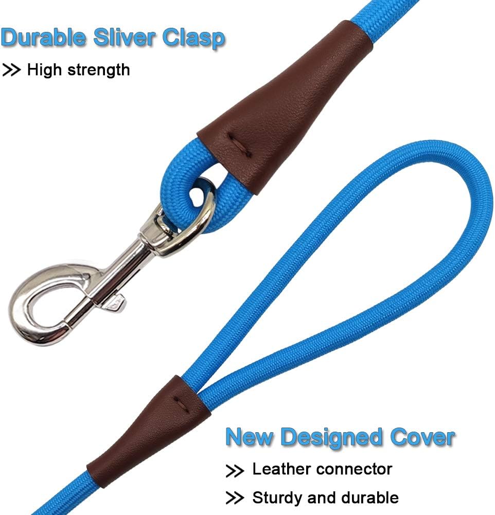 MayPaw 4FT/6FT/8FT/10FT Dog Leash, Classic Solid Colors, Durable Mountain Climbing Rope Dog Leash Reinforced with Leather Tailor Connection Heavy Duty Silver Clasp (Blue, 10 Foot) : Pet Supplies