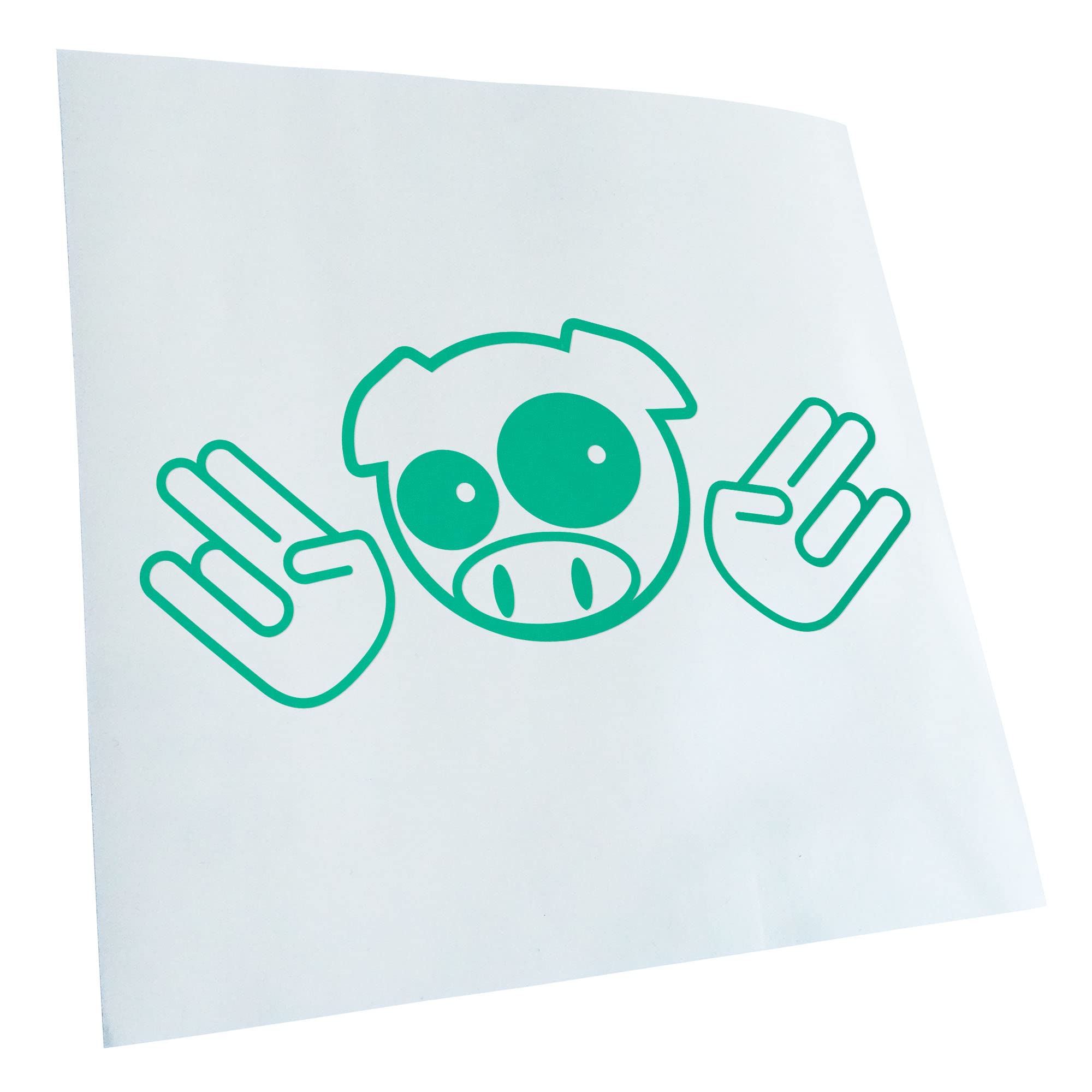 Kiwistar - Car Sticker - Turquoise - 24 x 24 cm JDM Pig Shocker - Rear Window Car Sticker Weatherproof for Car Truck Moped Truck - Sticker Exterior Self-Adhesive Tuning Accessories for Window Vehicle