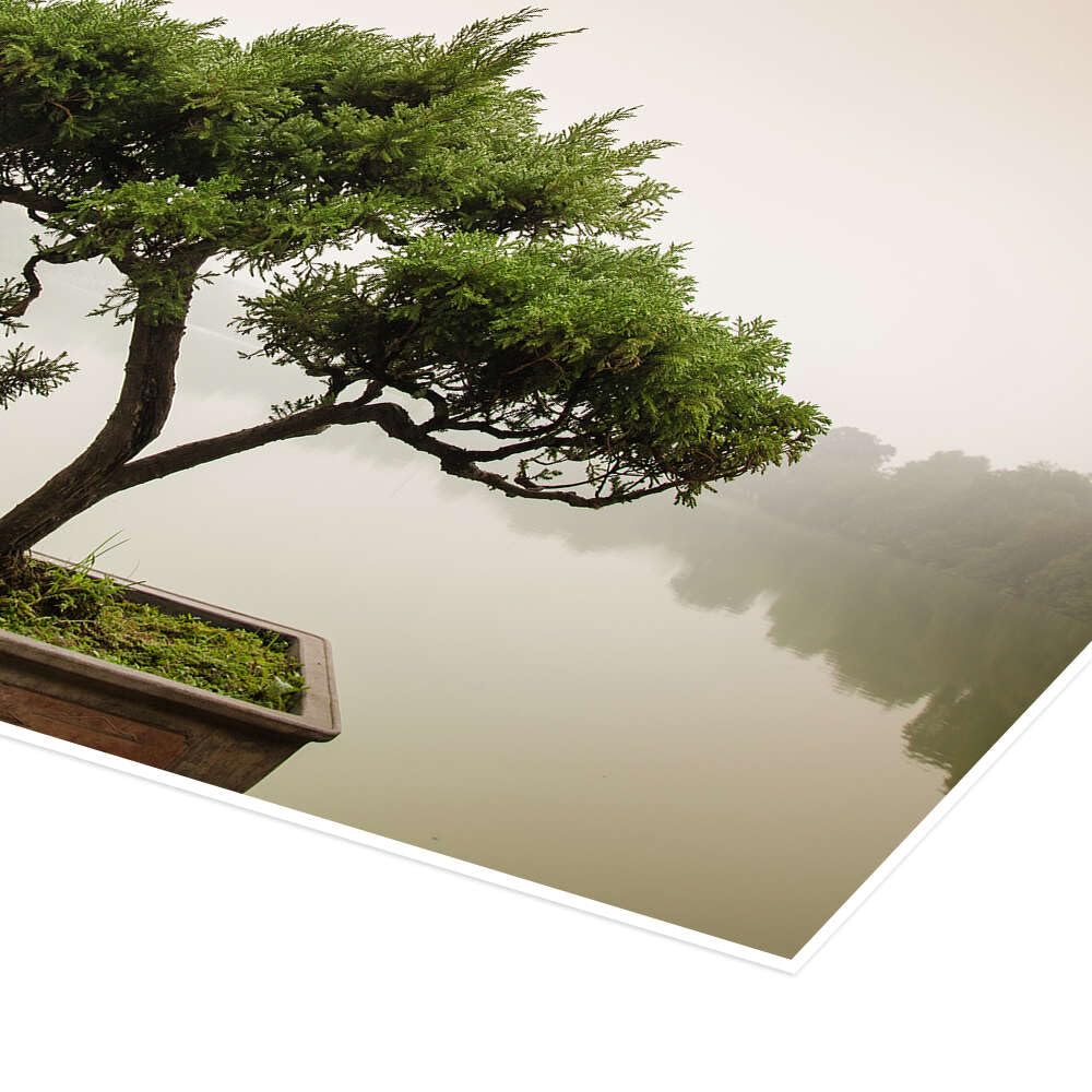 Drzewko bonsai w ogrodzie Zen Plakat